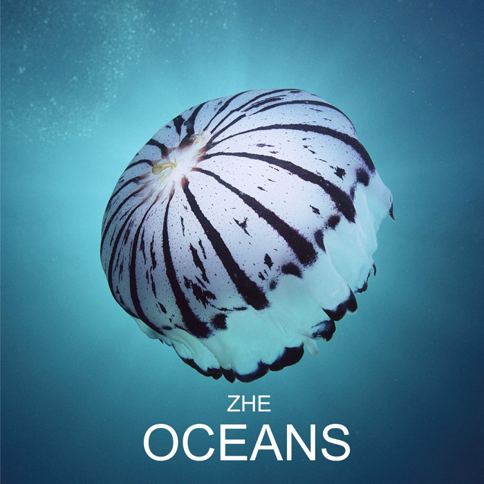 ZHE: Oceans